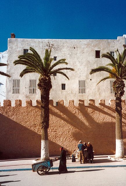 Everyday street life beside palms and weathered coastal buildings